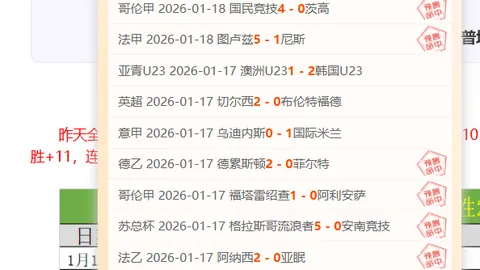 米斯林塔特將加盟阿贾克斯，履任总监职位
